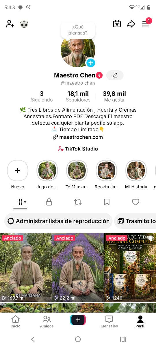 Maestro Chen en TikTok