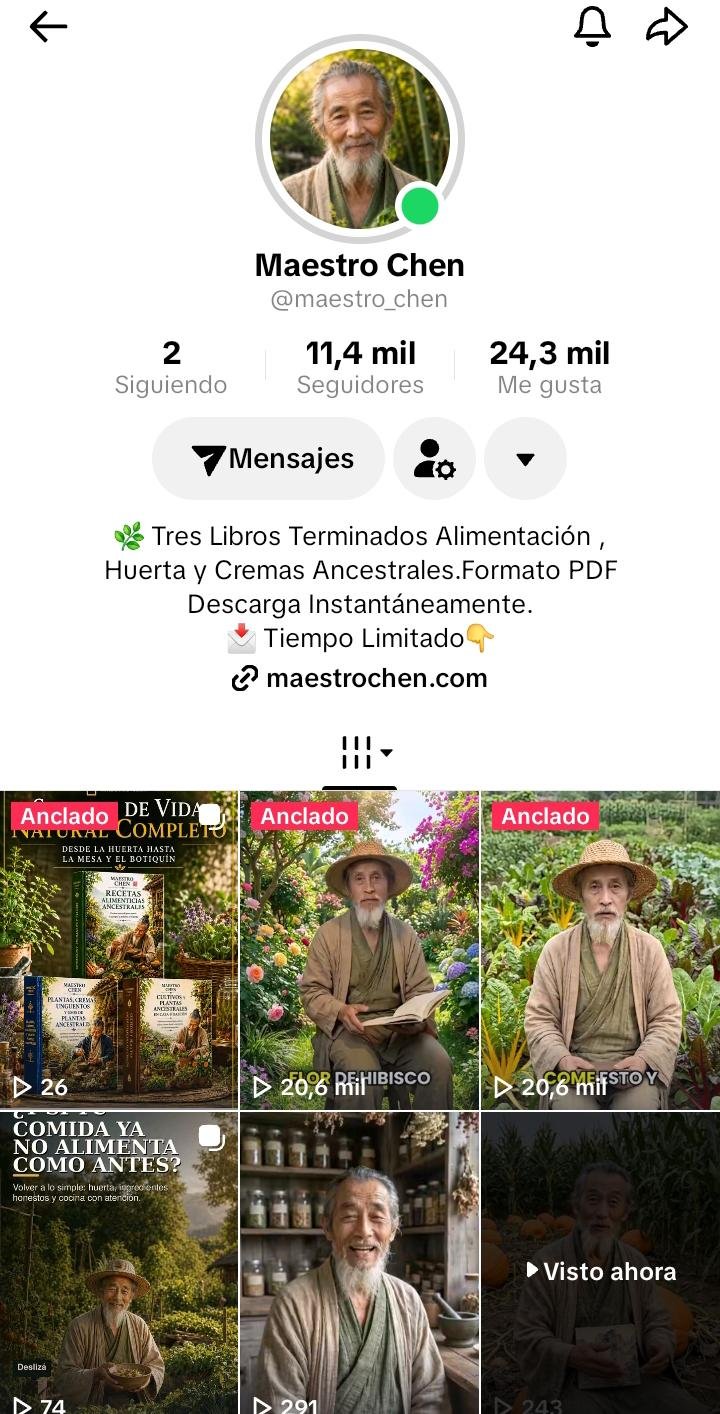 Maestro Chen en TikTok